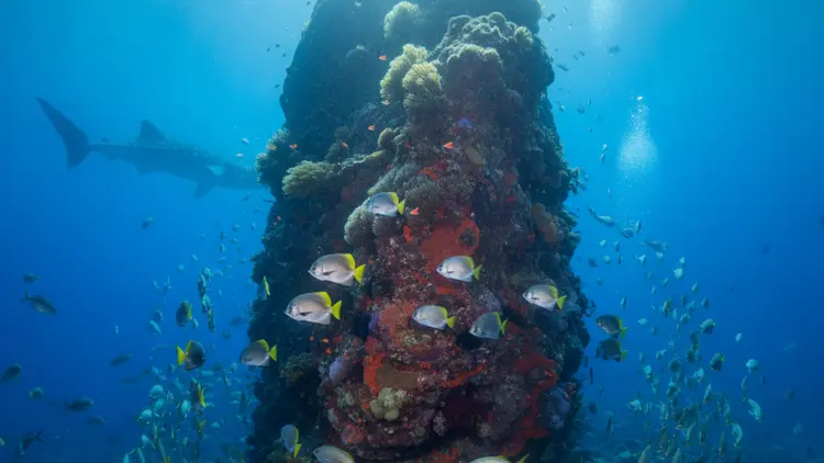 Chumphon Pinnacle